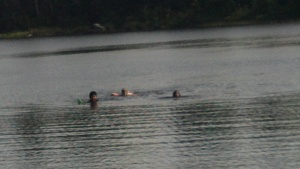 swimming across the lake